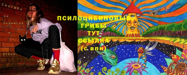 альфа пвп Покачи