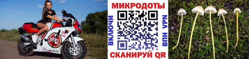 Псилоцибиновые грибы мухоморы  Арамиль 